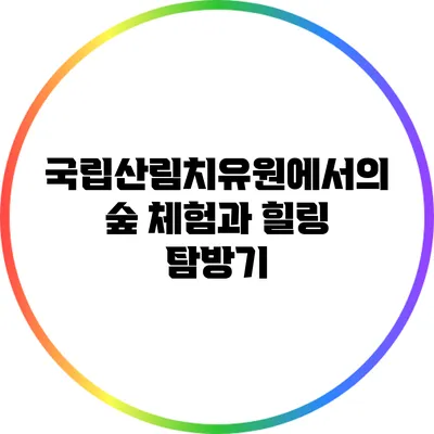 국립산림치유원에서의 숲 체험과 힐링 탐방기