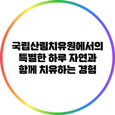 국립산림치유원에서의 특별한 하루: 자연과 함께 치유하는 경험