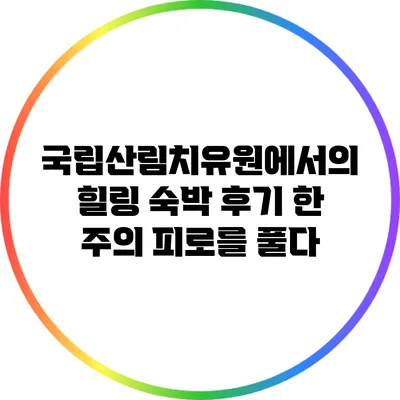 국립산림치유원에서의 힐링 숙박 후기: 한 주의 피로를 풀다