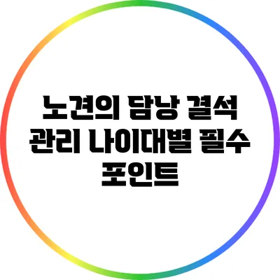 노견의 담낭 결석 관리: 나이대별 필수 포인트