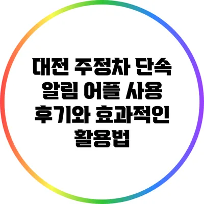 대전 주정차 단속 알림 어플 사용 후기와 효과적인 활용법