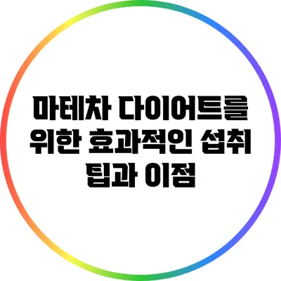 마테차 다이어트를 위한 효과적인 섭취 팁과 이점