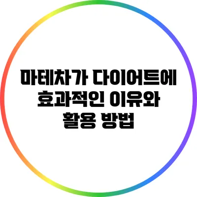 마테차가 다이어트에 효과적인 이유와 활용 방법