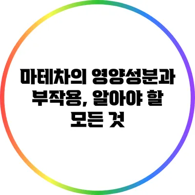 마테차의 영양성분과 부작용, 알아야 할 모든 것