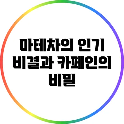 마테차의 인기 비결과 카페인의 비밀