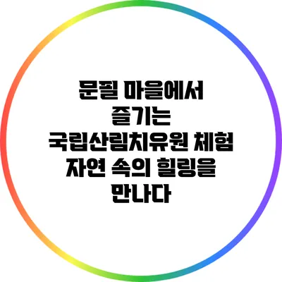 문필 마을에서 즐기는 국립산림치유원 체험: 자연 속의 힐링을 만나다