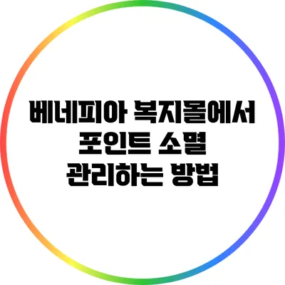 베네피아 복지몰에서 포인트 소멸 관리하는 방법