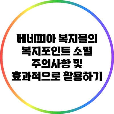 베네피아 복지몰의 복지포인트 소멸 주의사항 및 효과적으로 활용하기