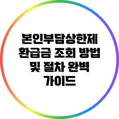 본인부담상한제 환급금 조회 방법 및 절차 완벽 가이드