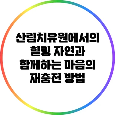 산림치유원에서의 힐링: 자연과 함께하는 마음의 재충전 방법