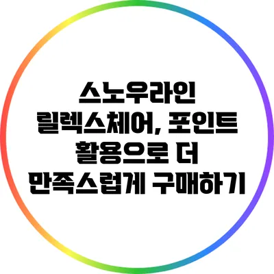 스노우라인 릴렉스체어, 포인트 활용으로 더 만족스럽게 구매하기