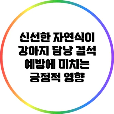 신선한 자연식이 강아지 담낭 결석 예방에 미치는 긍정적 영향