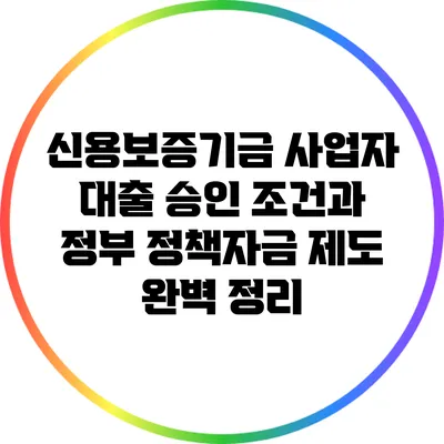 신용보증기금 사업자 대출 승인 조건과 정부 정책자금 제도 완벽 정리