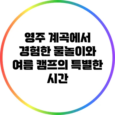 영주 계곡에서 경험한 물놀이와 여름 캠프의 특별한 시간