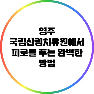 영주 국립산림치유원에서 피로를 푸는 완벽한 방법
