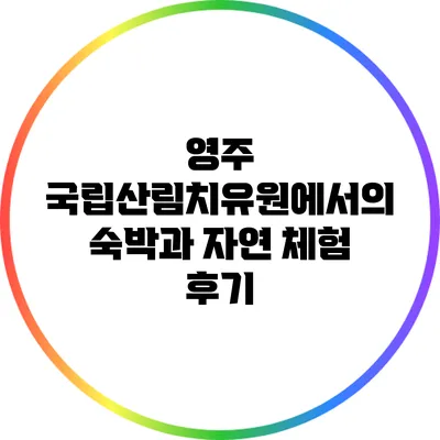 영주 국립산림치유원에서의 숙박과 자연 체험 후기