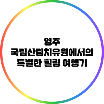 영주 국립산림치유원에서의 특별한 힐링 여행기