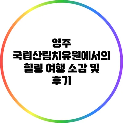 영주 국립산림치유원에서의 힐링 여행 소감 및 후기