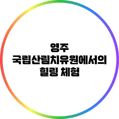 영주 국립산림치유원에서의 힐링 체험