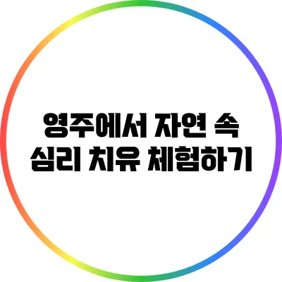 영주에서 자연 속 심리 치유 체험하기