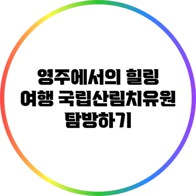 영주에서의 힐링 여행: 국립산림치유원 탐방하기