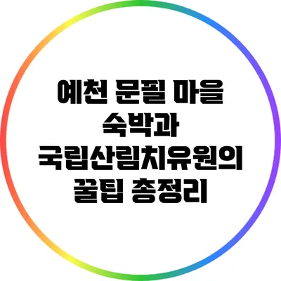예천 문필 마을 숙박과 국립산림치유원의 꿀팁 총정리