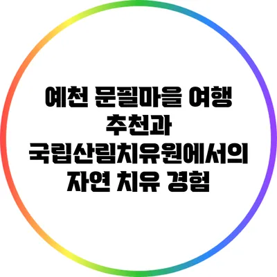 예천 문필마을 여행 추천과 국립산림치유원에서의 자연 치유 경험