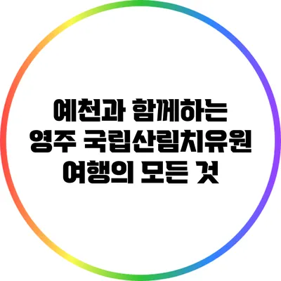 예천과 함께하는 영주 국립산림치유원 여행의 모든 것