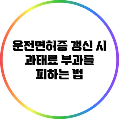 운전면허증 갱신 시 과태료 부과를 피하는 법