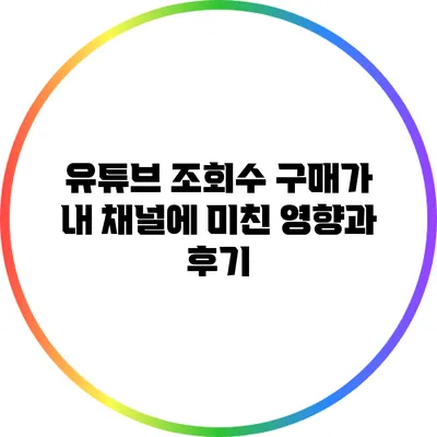 유튜브 조회수 구매가 내 채널에 미친 영향과 후기