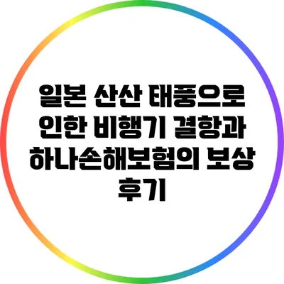 일본 산산 태풍으로 인한 비행기 결항과 하나손해보험의 보상 후기