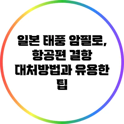일본 태풍 암필로, 항공편 결항 대처방법과 유용한 팁
