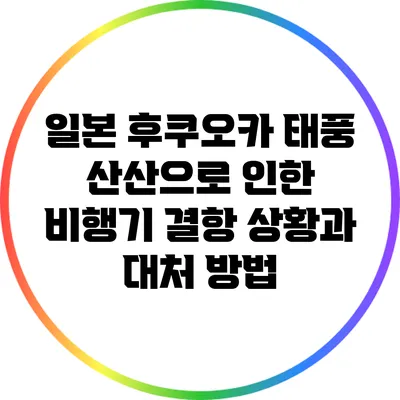 일본 후쿠오카 태풍 산산으로 인한 비행기 결항 상황과 대처 방법