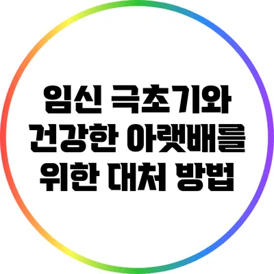 임신 극초기와 건강한 아랫배를 위한 대처 방법