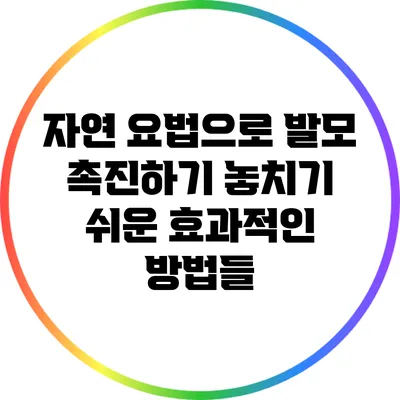 자연 요법으로 발모 촉진하기: 놓치기 쉬운 효과적인 방법들