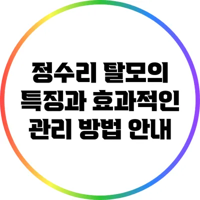 정수리 탈모의 특징과 효과적인 관리 방법 안내