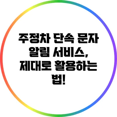 주정차 단속 문자 알림 서비스, 제대로 활용하는 법!