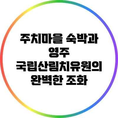 주치마을 숙박과 영주 국립산림치유원의 완벽한 조화