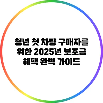 청년 첫 차량 구매자를 위한 2025년 보조금 혜택 완벽 가이드