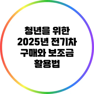 청년을 위한 2025년 전기차 구매와 보조금 활용법