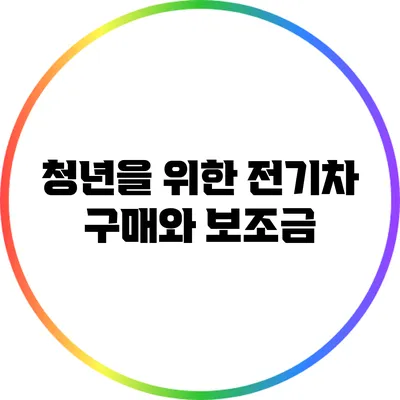 청년을 위한 전기차 구매와 보조금