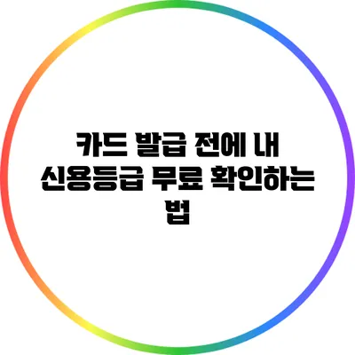 카드 발급 전에 내 신용등급 무료 확인하는 법