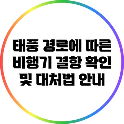 태풍 경로에 따른 비행기 결항 확인 및 대처법 안내