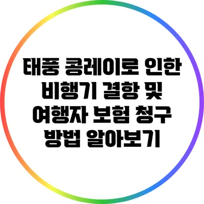 태풍 콩레이로 인한 비행기 결항 및 여행자 보험 청구 방법 알아보기