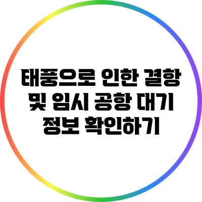 태풍으로 인한 결항 및 임시 공항 대기 정보 확인하기