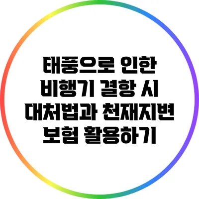 태풍으로 인한 비행기 결항 시 대처법과 천재지변 보험 활용하기