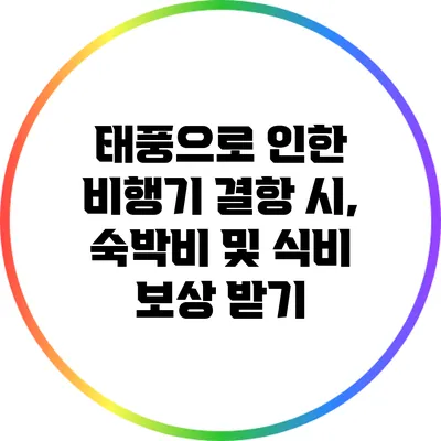 태풍으로 인한 비행기 결항 시, 숙박비 및 식비 보상 받기