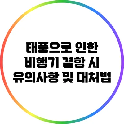 태풍으로 인한 비행기 결항 시 유의사항 및 대처법