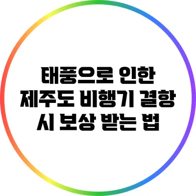 태풍으로 인한 제주도 비행기 결항 시 보상 받는 법
