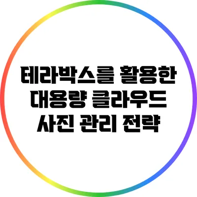 테라박스를 활용한 대용량 클라우드 사진 관리 전략